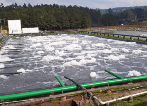 Lagoa de Aeração por Difusores 