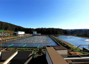 Lagoa de Aeração por Difusores 