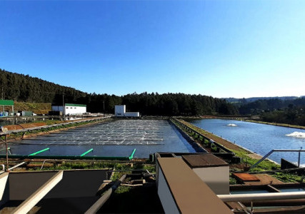 Lagoa de Aeração por Difusores 